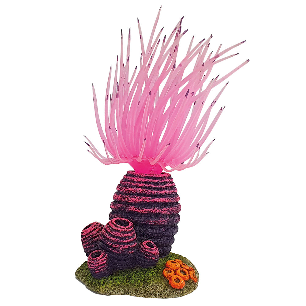 Aqua Ornaments "APLYSINA"