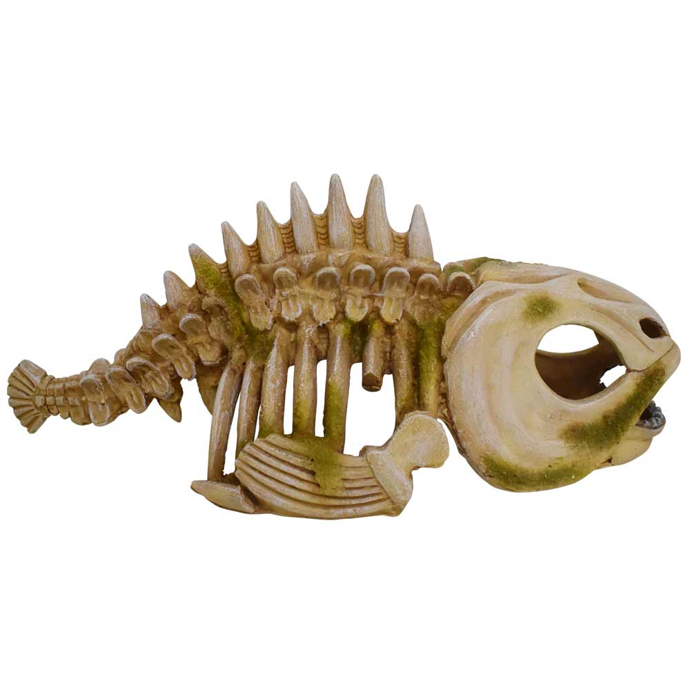 Aqua Ornaments "Fischsklett"