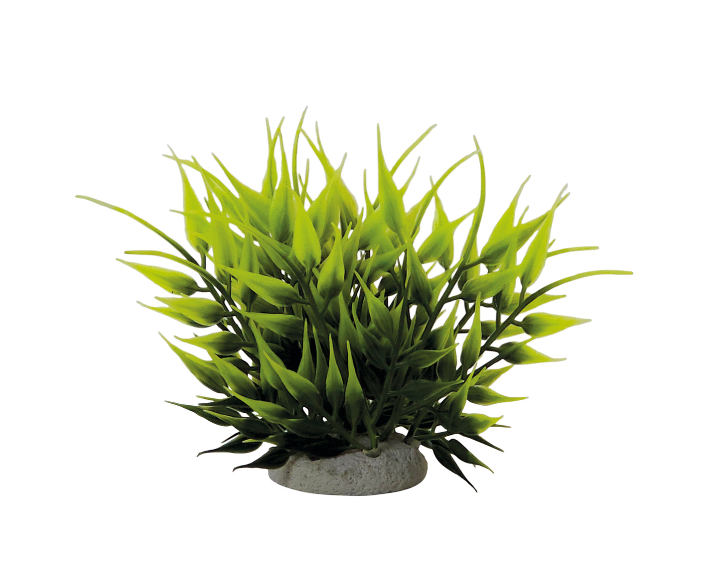 Aqua Ornaments "BAMBUS"