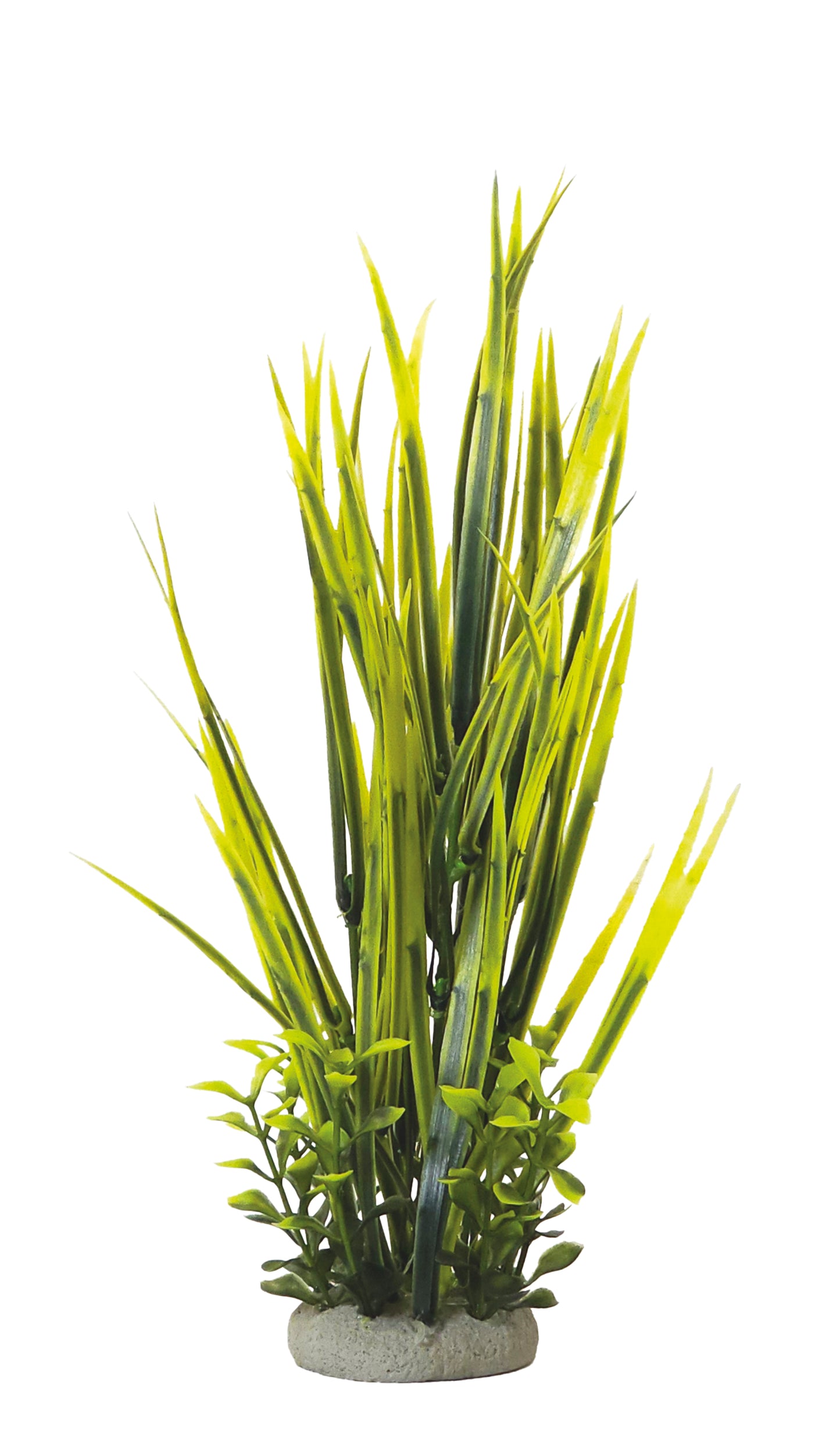 Aqua Ornaments "VALLISNERIA"