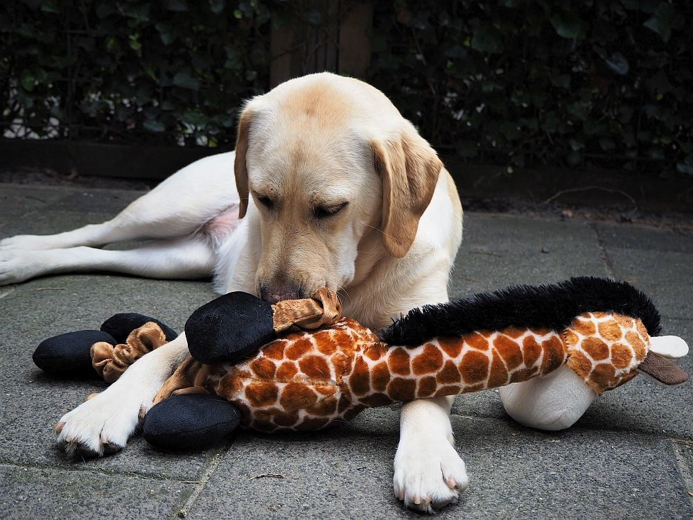 Plüsch Giraffe