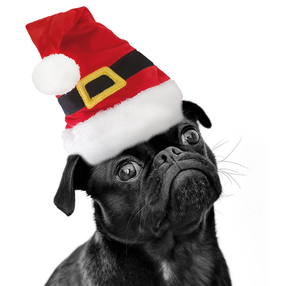XMAS Mütze Santa für Hunde – Plüsch-Weihnachtsmütze mit Bommel
