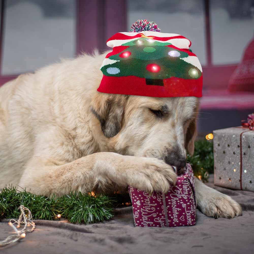 XMAS Mütze