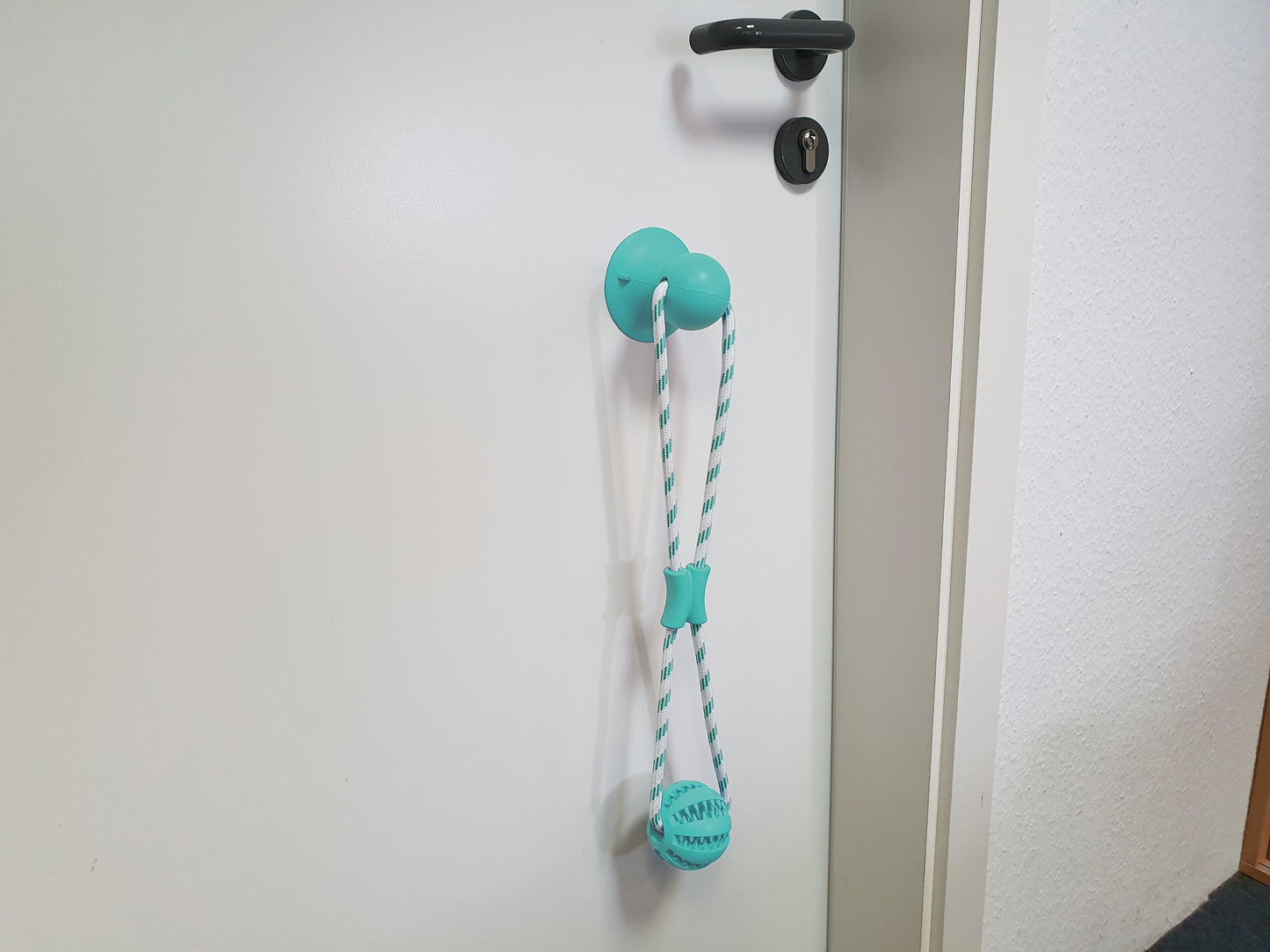 Dental Spielzeug
