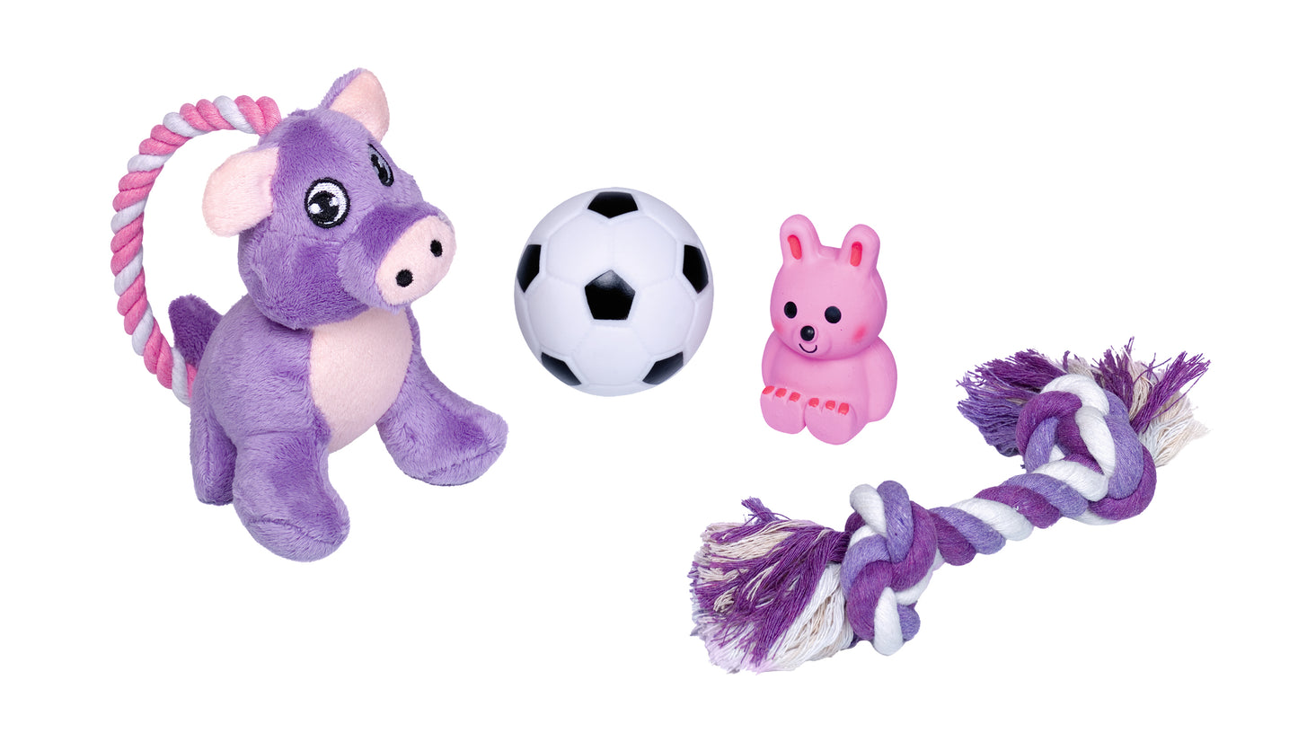 Puppy Starter Set