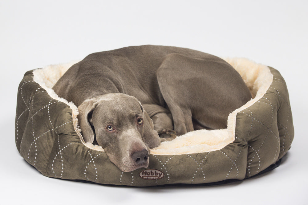 Komfort Bett oval "CENO"