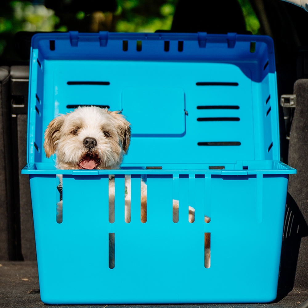 Transportbox „Pet Caddy II“
