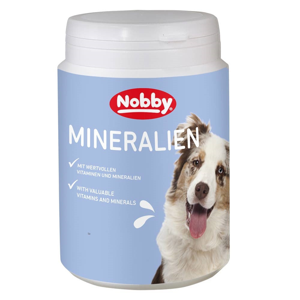 Mineralien Hund