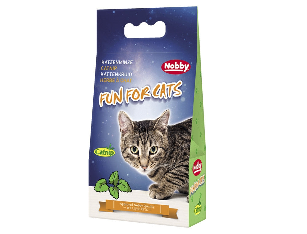 Katzenminze