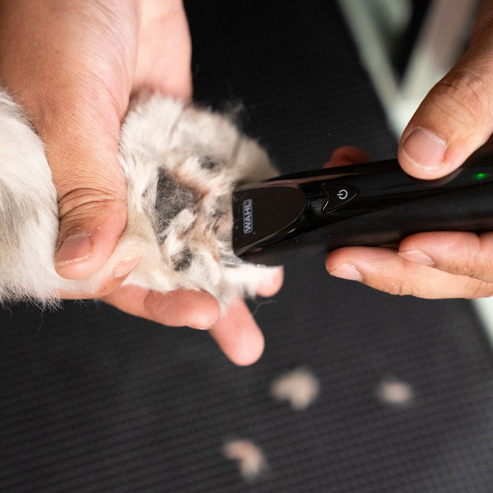 Tierhaar-Trimmer "Fidela" – kabellos für Pfoten, Ohren & Gesicht