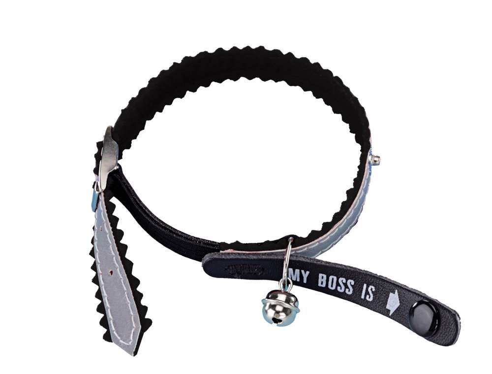 Adress-Katzenhalsband "My Boss is"