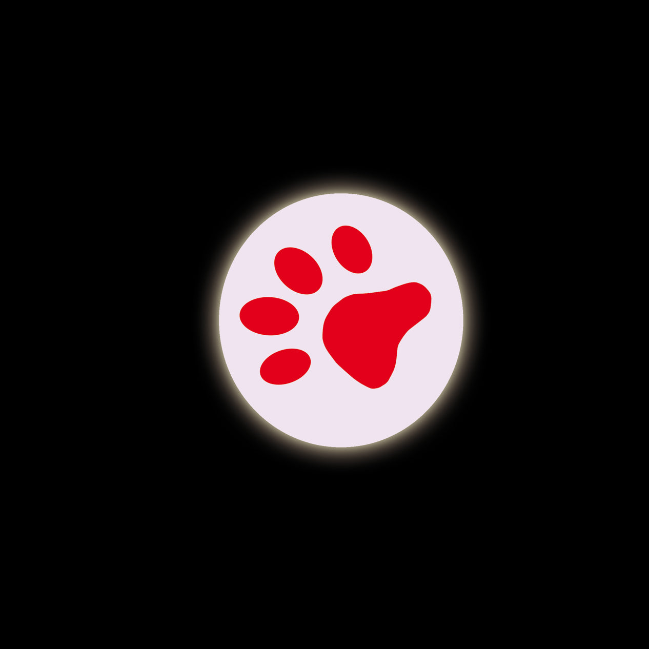 LED Pointer "PAW"