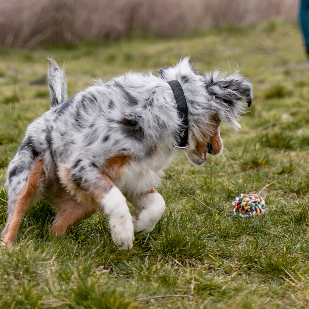 Spielseile Ball