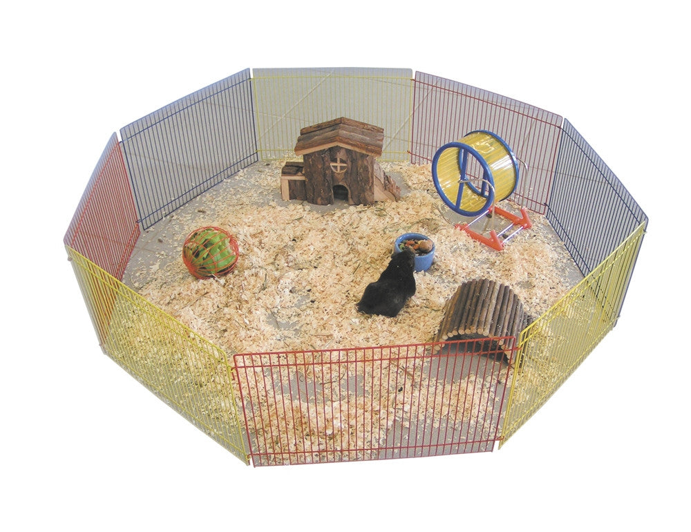 Hamster Freilauf