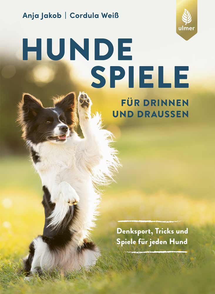 Hunde Spiele