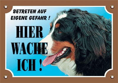 Warntafel Berner Sennenhund