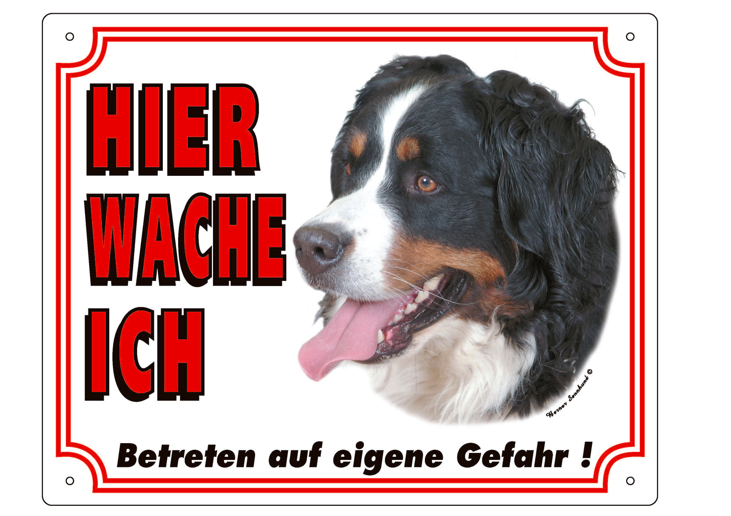 Warntafel Berner Sennenhund