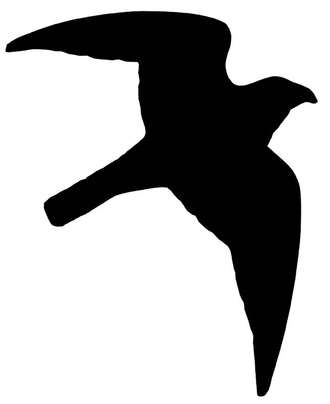 Aufkleber "Greifvogel"