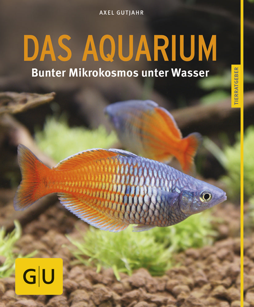 Das Aquarium, faszinierend & pflegeleicht
