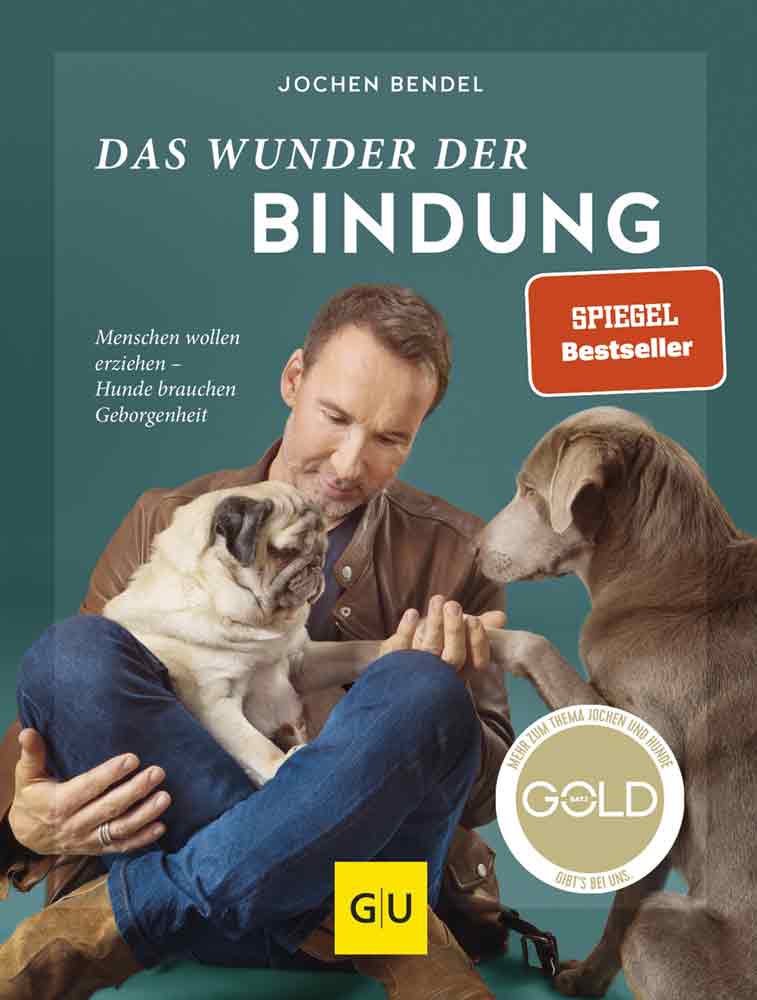 Das Wunder der Bindung