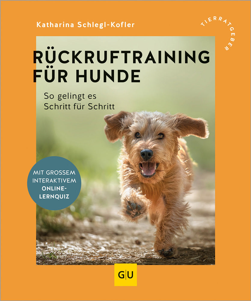 Rückruftraining für Hunde