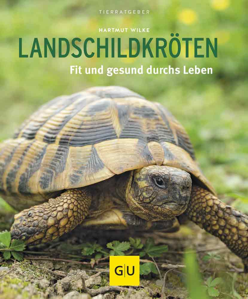 Landschildkröten, glücklich & gesund