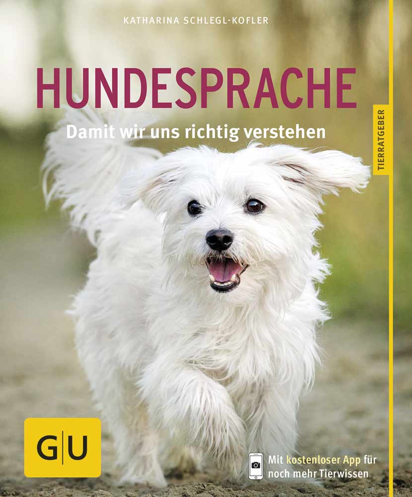 Hundesprache, richtig deuten & verstehen
