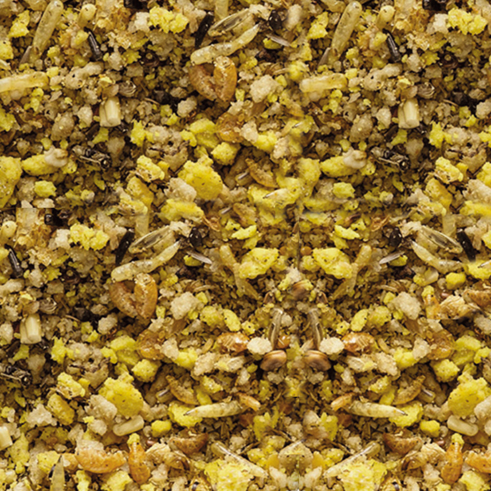 NutriBird Gold Crumble Waldvogel