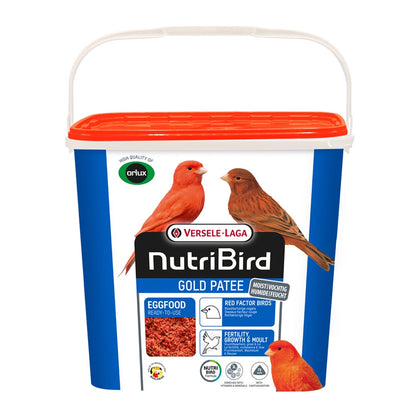 NutriBird Gold patee rot