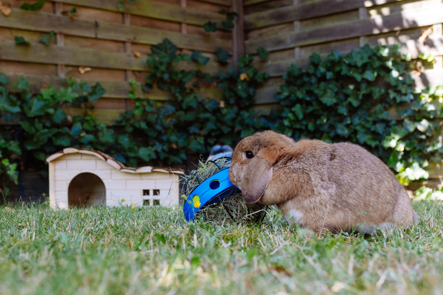 Futterspender "BUNNY TOY“