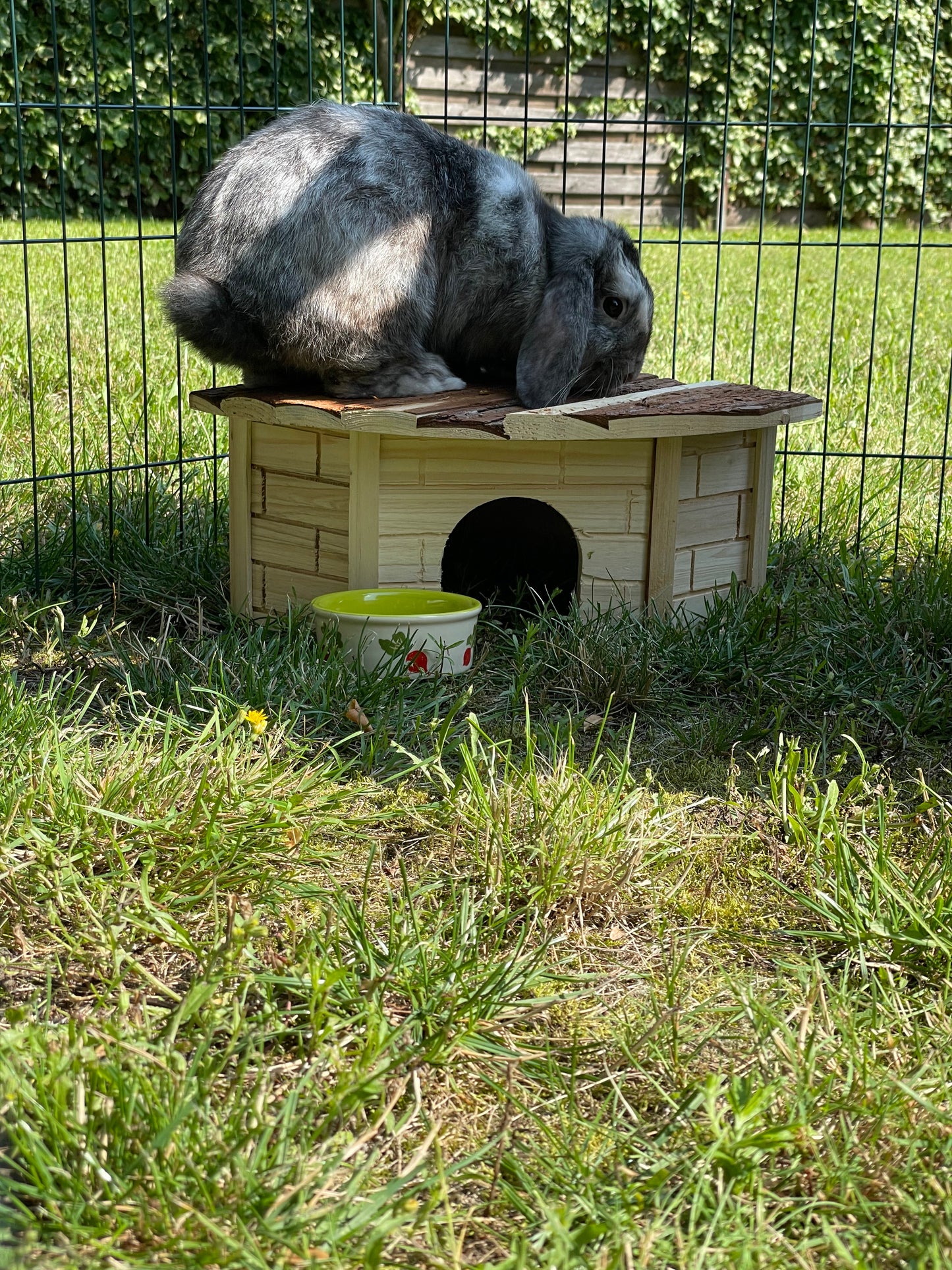 WOODLAND Nagerhaus "Gordi“