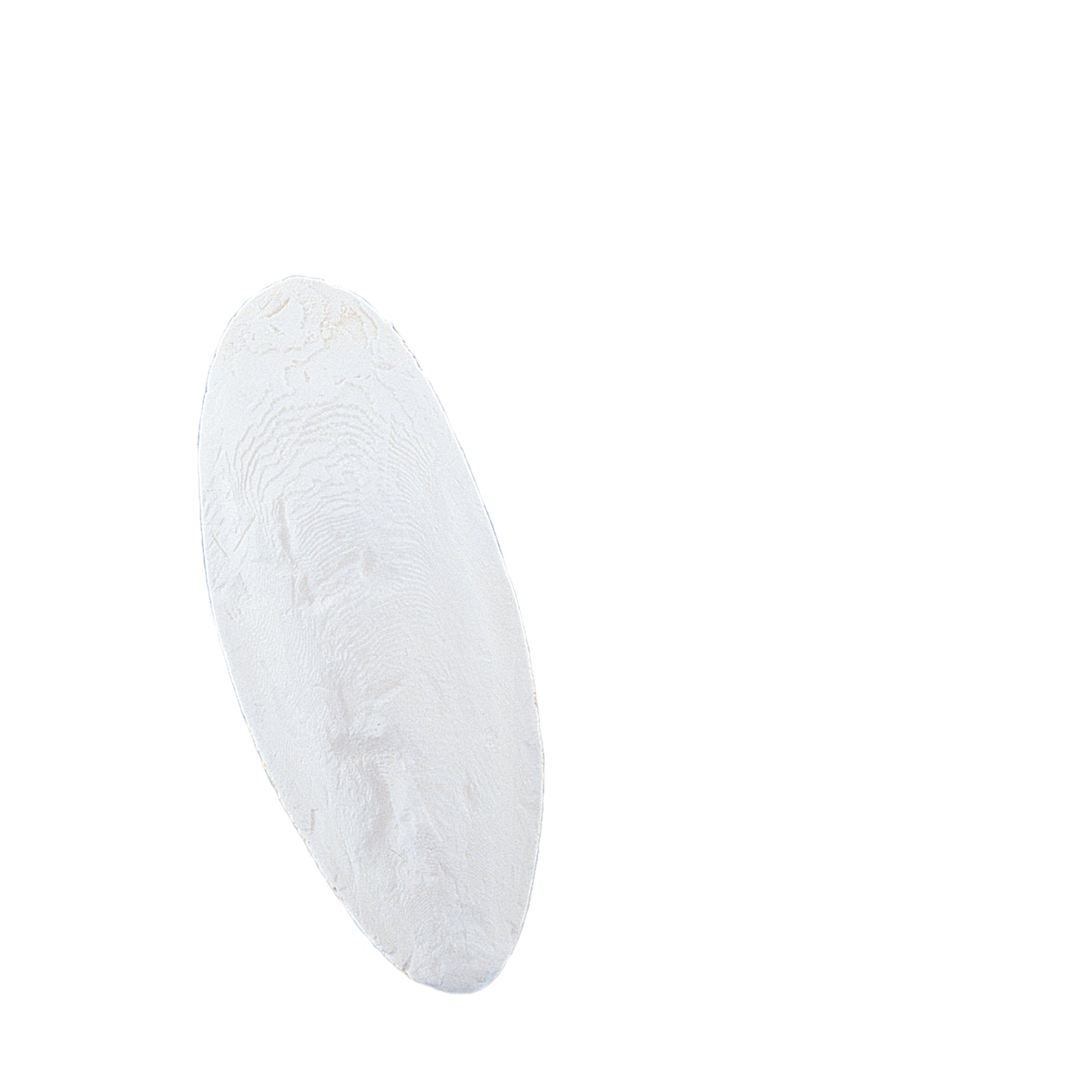 Sepiaschalen