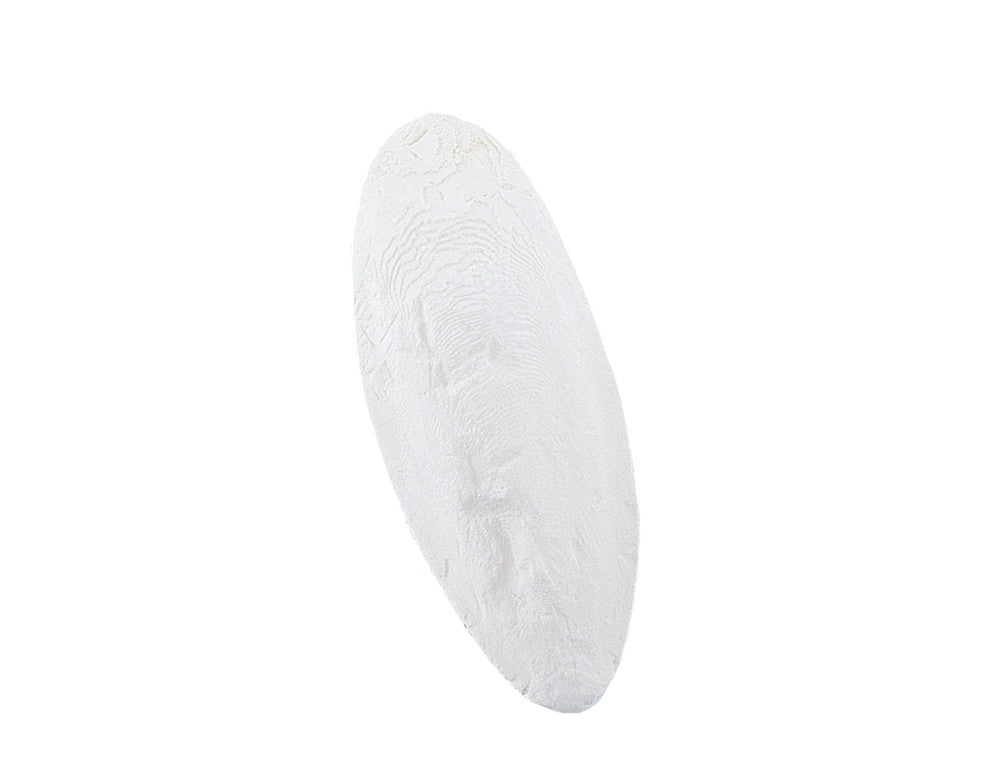 Sepiaschalen