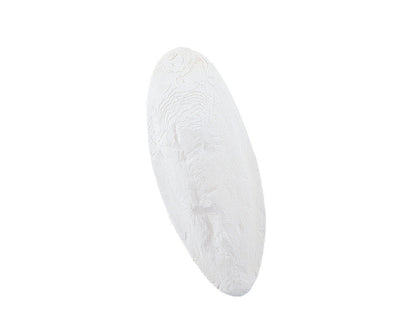 Sepiaschalen
