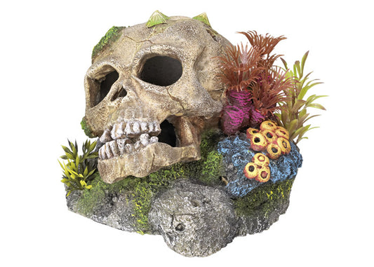 Aqua Ornaments "TOTENKOPF" mit Pflanzen
