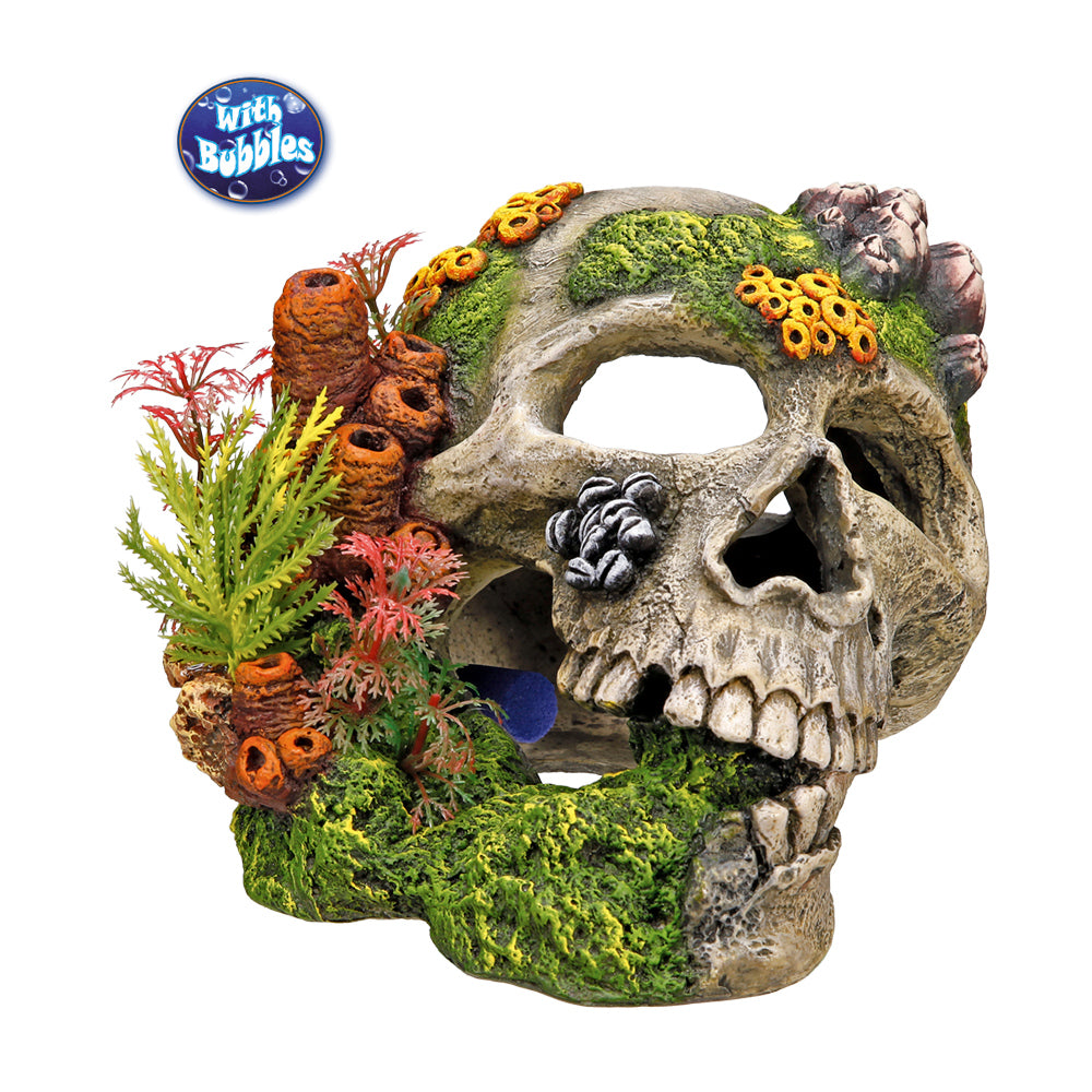 Aqua Ornaments "TOTENKOPF" mit Pflanzen