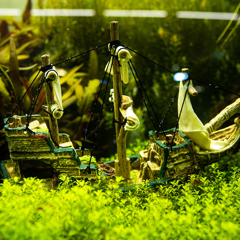 Aqua Ornaments "SCHIFF"