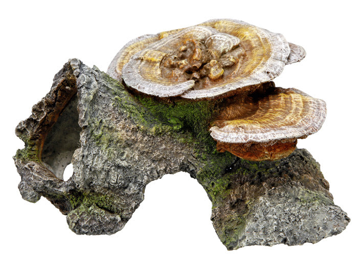 Aqua Ornaments "HOLZHÖHLE MIT PILZE"