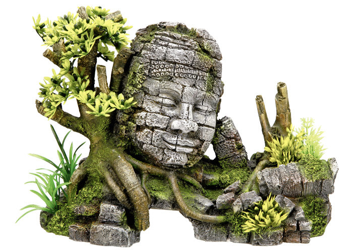 Aqua Ornaments "ANGKOR WATT" mit Pflanzen