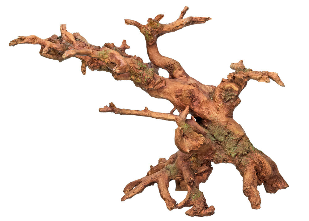 Aqua Ornaments "Wurzeln"
