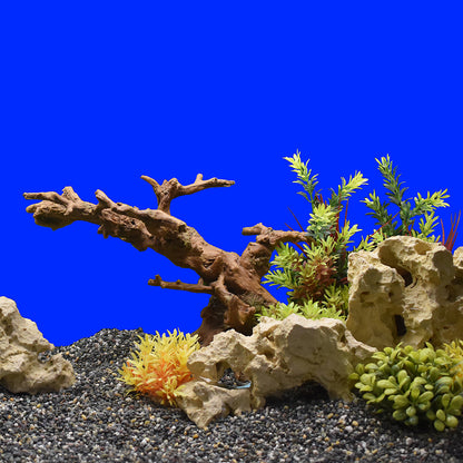 Aqua Ornaments "Wurzeln"