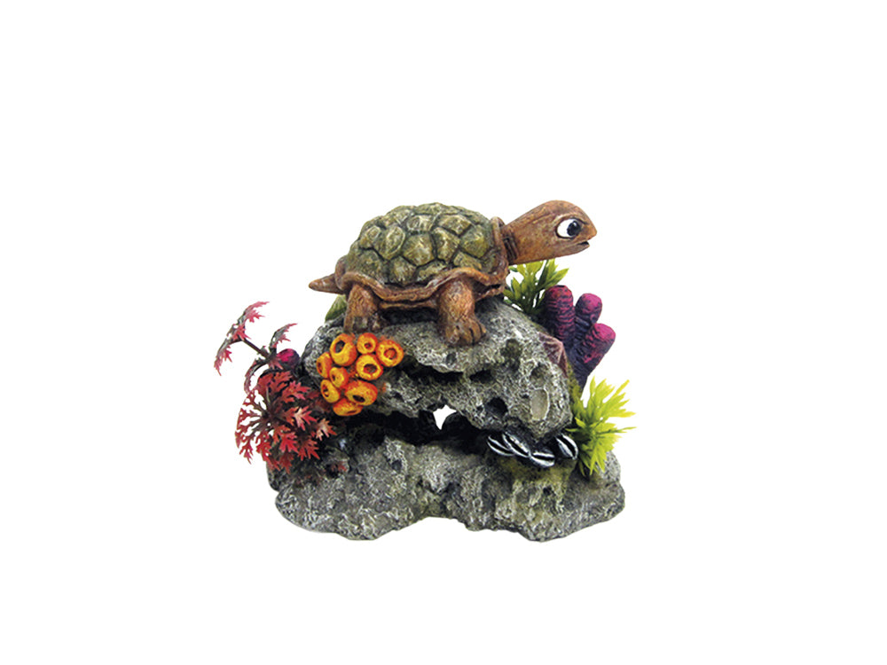 Aqua Ornaments "SCHILDKRÖTE AUF FELS"