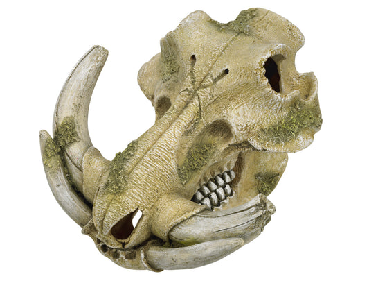 Aqua Ornaments "Warzenschwein Schädel"