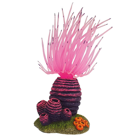 Aqua Ornaments "APLYSINA"