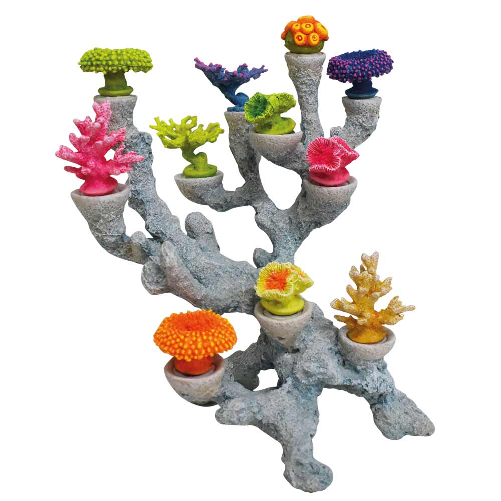 Aqua Ornaments "Korallen", Köpfe austauschbar