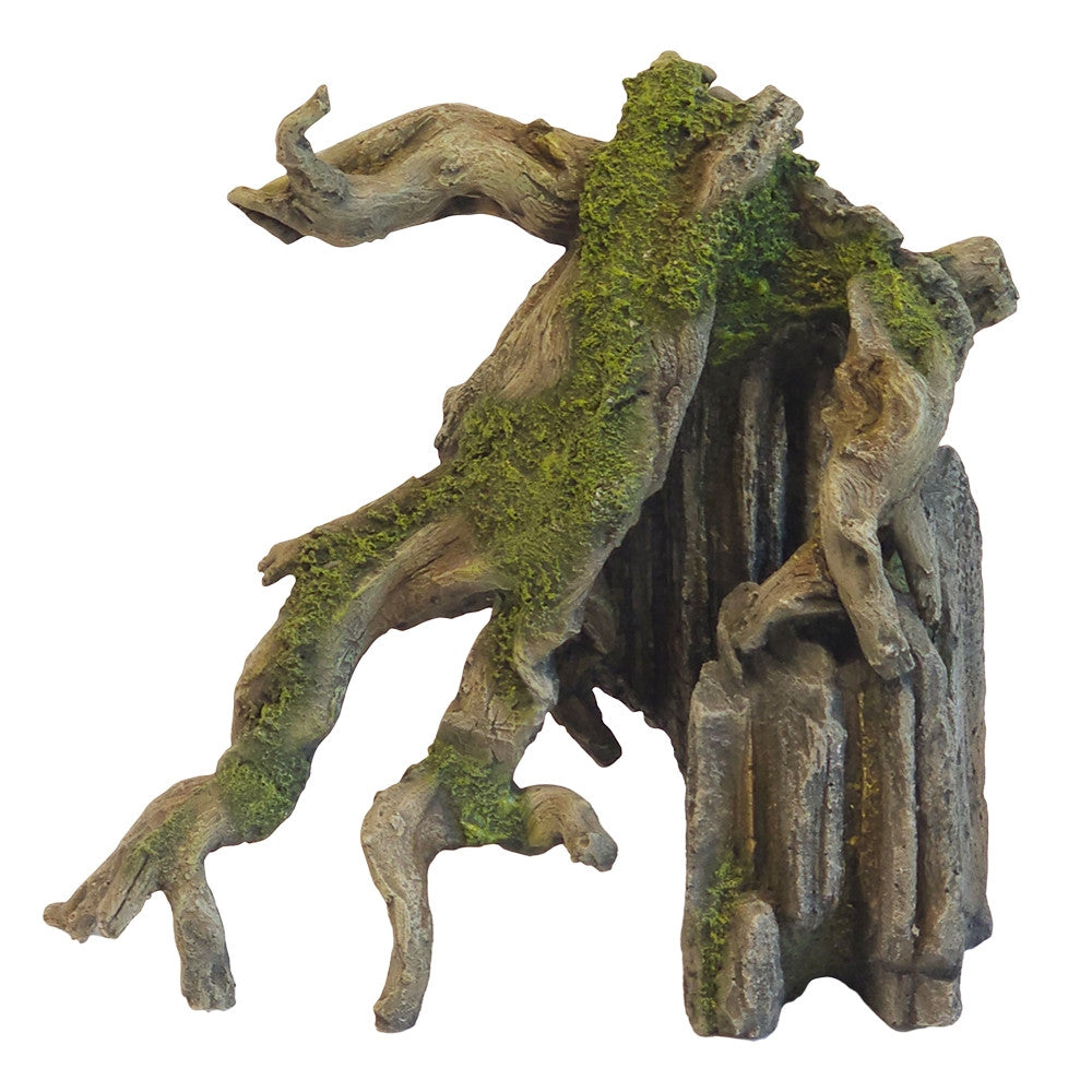 Aqua Ornaments "MANGROVE AN FELS"
