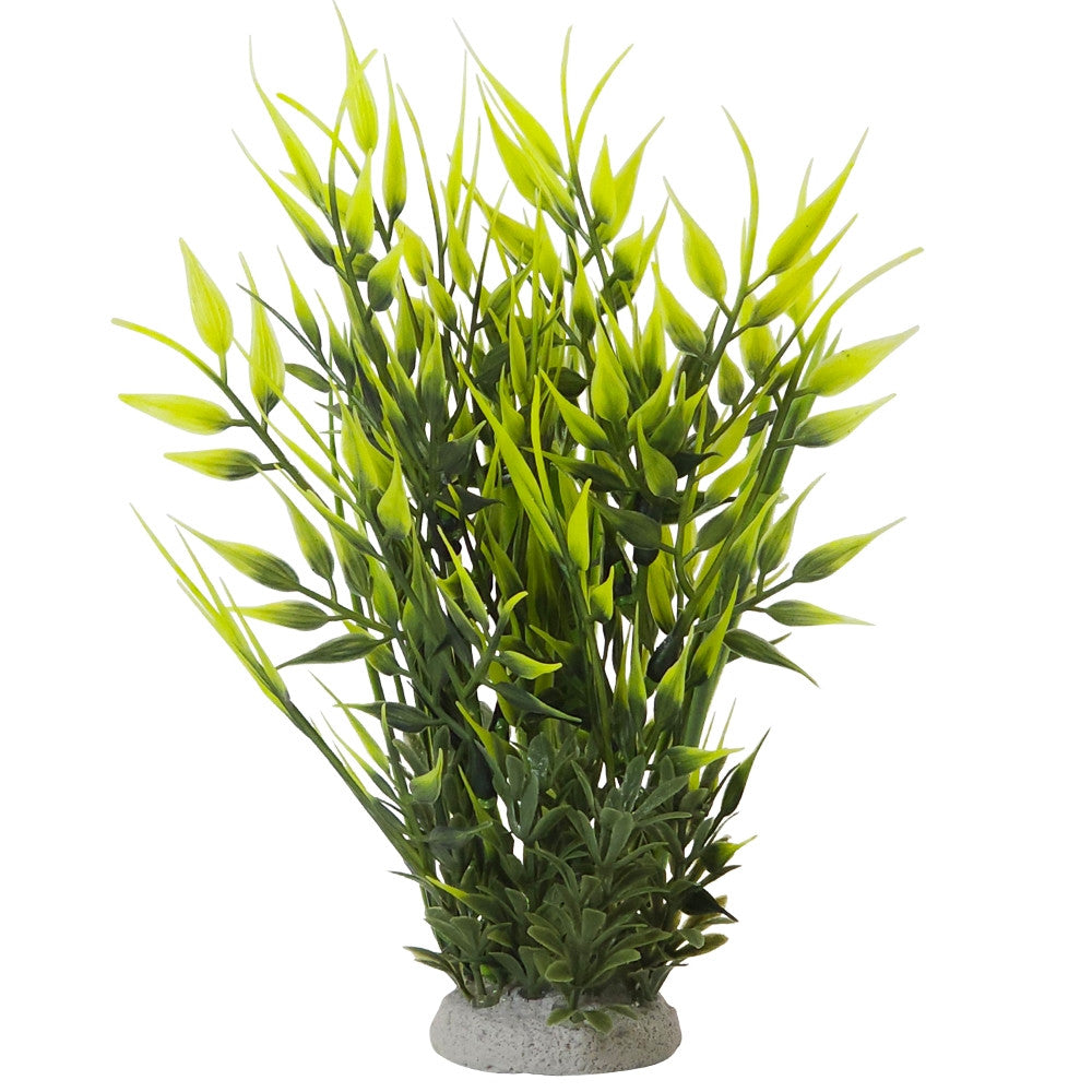 Aqua Ornaments "BAMBUS"