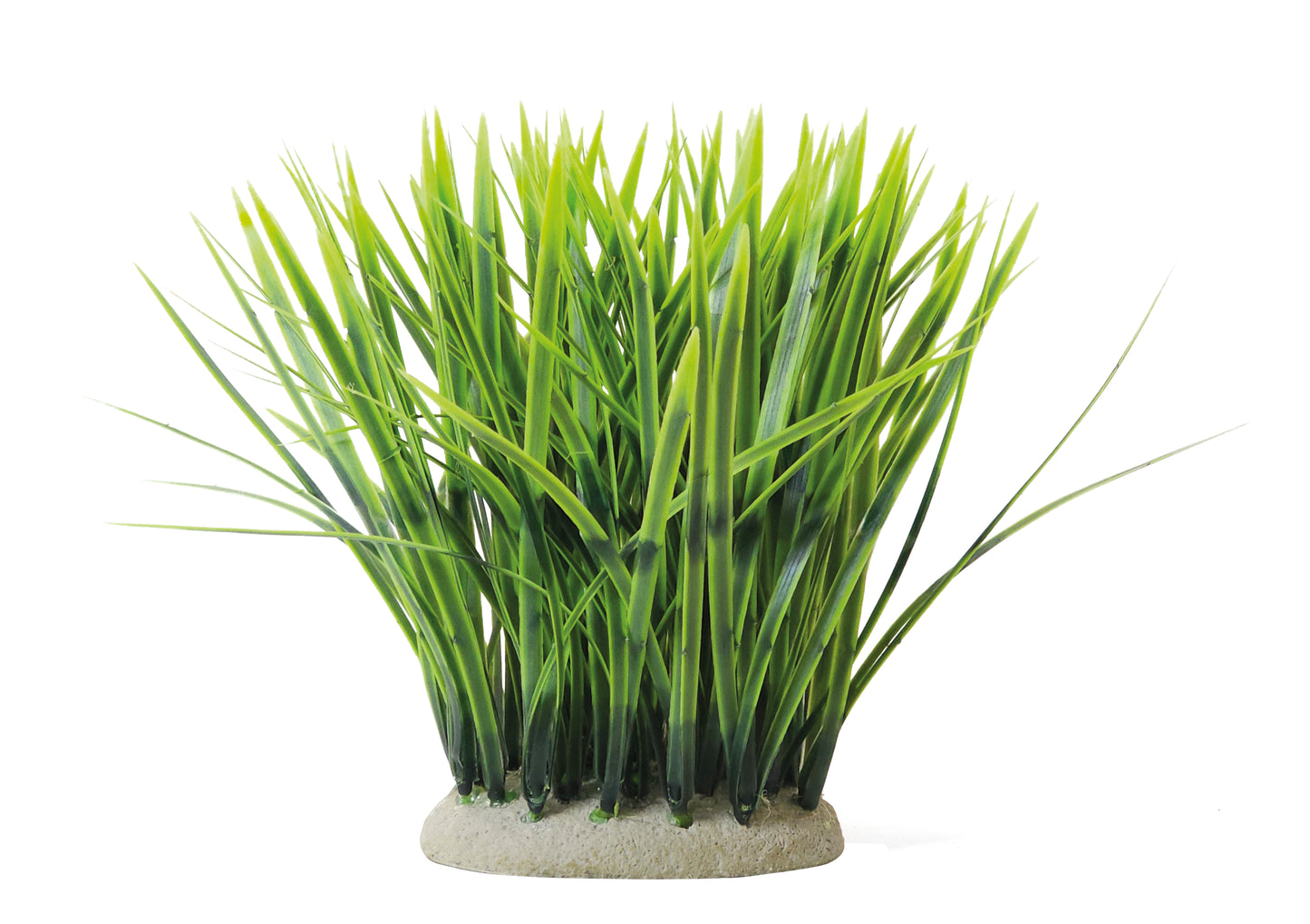 Aqua Ornaments "VALLISNERIA"
