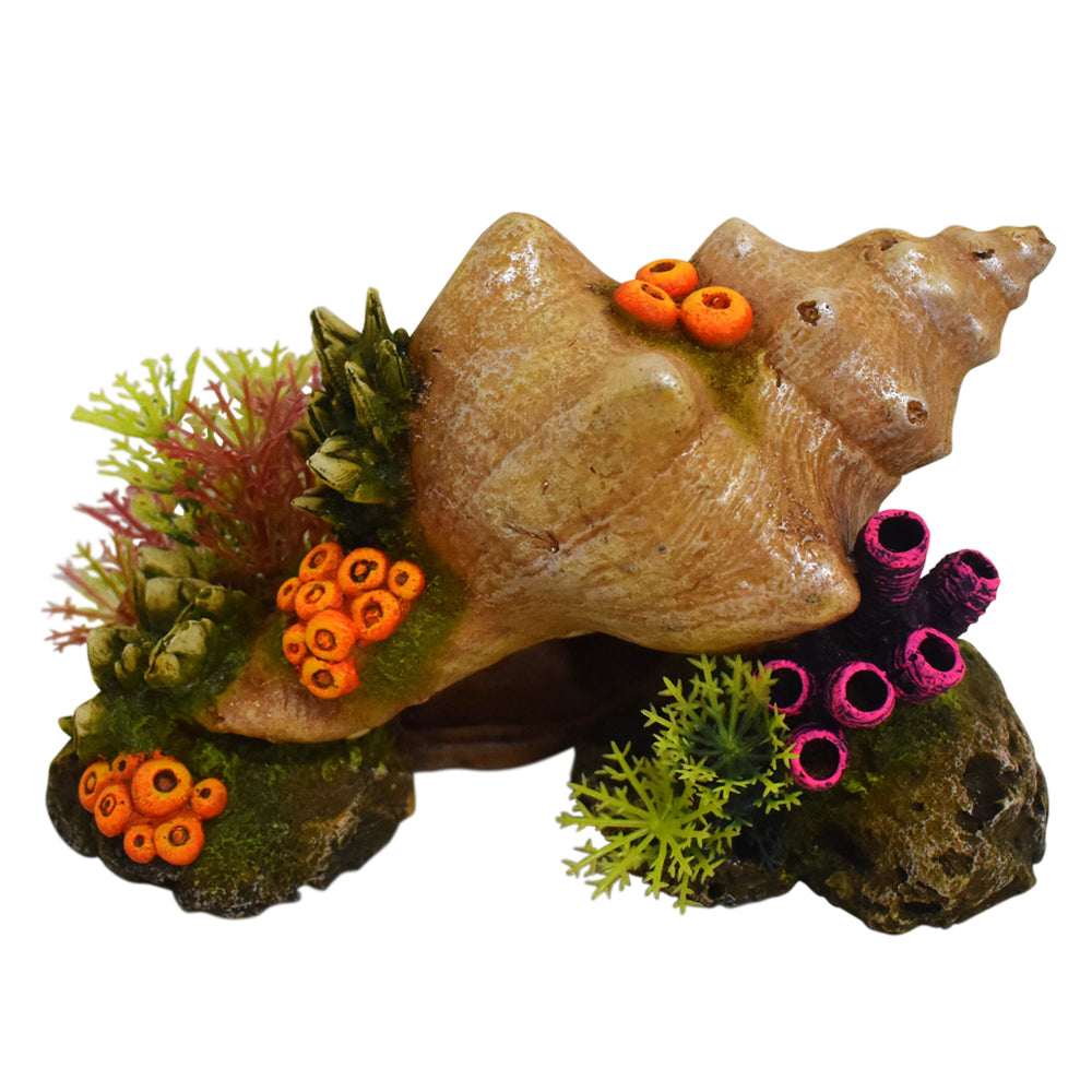 Aqua Ornaments "MUSCHEL" mit Pflanzen