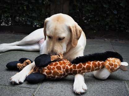 Plüsch Giraffe
